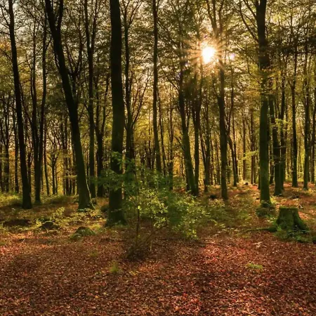 Sheelin Huts Blue, Hot-tub Available From 1st April Until 1st November